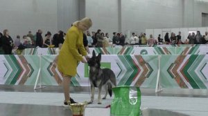 Леонель Андрес Месси