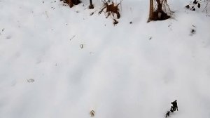 Нюансы тёплой осени 2