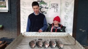 итоговый улов форели