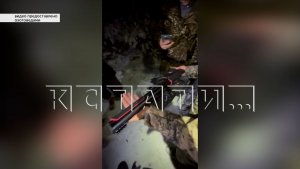 Бизнесменов, пойманных в лесу с высокотехнологичным пневмооружием, подозревают в браконьерстве