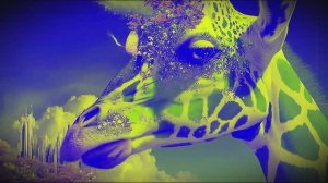 Perception - Invasion