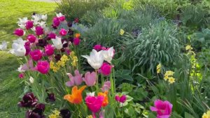 ШИКАРНАЯ МУЗЫКА! ЭТО ЛУЧШАЯ МУЗЫКА ДЛЯ ДУШИ! ОЧЕНЬ КРАСИВО! ПОСЛУШАЙТЕ