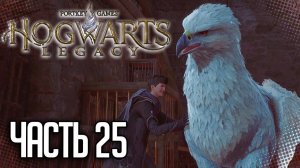 ПРОХОЖДЕНИЕ HOGWARTS LEGACY – ВЫСОКАЯ КРЕПОСТЬ #25