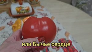 Завтрак. Дача 19.11.25г.🏡 Зима пришла.❄️☃️ Обзор семян томатов!🍅