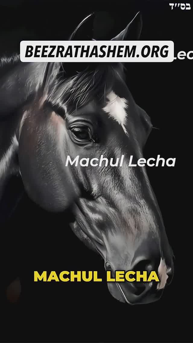 Перерождение в лошадь 🐴