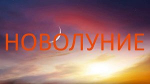 НОВОЛУНИЕ В СКОРПИОНЕ. Какие перемены ждут знаки Зодиака? Контакты floransia@yandex.ru