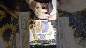 20-30 ноября близнецы