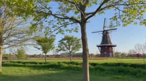 МУЗЫКА ДЛЯ ДУШИ. КРАСИВАЯ ПОЗИТИВНАЯ МУЗЫКА ДЛЯ ХОРОШЕГО НАСТРОЕНИЯ