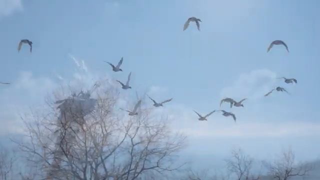 Музыка для отдыха