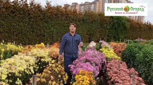 Знакомство с бестселлерами семян  «Русского Огорода».