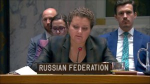 Выступление А.М.Евстигнеевой в СБ ООН по укреплению мира в Западной Африке