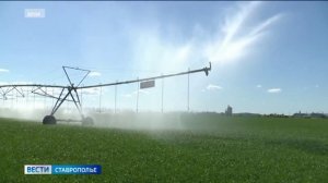 Завершается сев озимых в Минераловодском округе Ставрополья