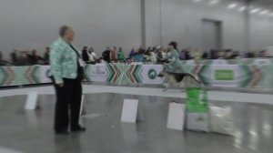 Сравнение-расстановка класса чемпионов