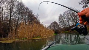 КЛЕВ ЩУКИ В НОЯБРЕ! НЕОЖИДАННАЯ ПОКЛЕВКА ПРЕВРАТИЛАСЬ В УВЛЕКАТЕЛЬНУЮ БОРЬБУ!! Рыбалка 2025