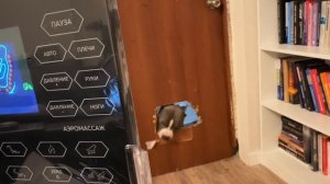 массажное кресло как антистресс