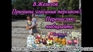 В.Железов. Причины угасания персиков? Перечисляю, выбирайте. Часть 1.