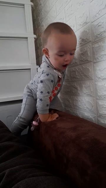 14 мес, 7 дней ( Сентябрь 2023)
Верблюжонок