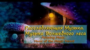 Релакс музыка.  Волшебная магия  Леса и животного мира
