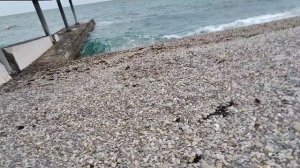 Море на Массандровских пляжах 19.11.2025