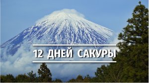 12 дней волшебства: Япония в сезон цветения сакуры