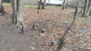 моя семья снег приближается к Москве и области 19 ноября