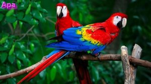 Ответы на Вопросы по Мистике от 19.11.25 Часть 5