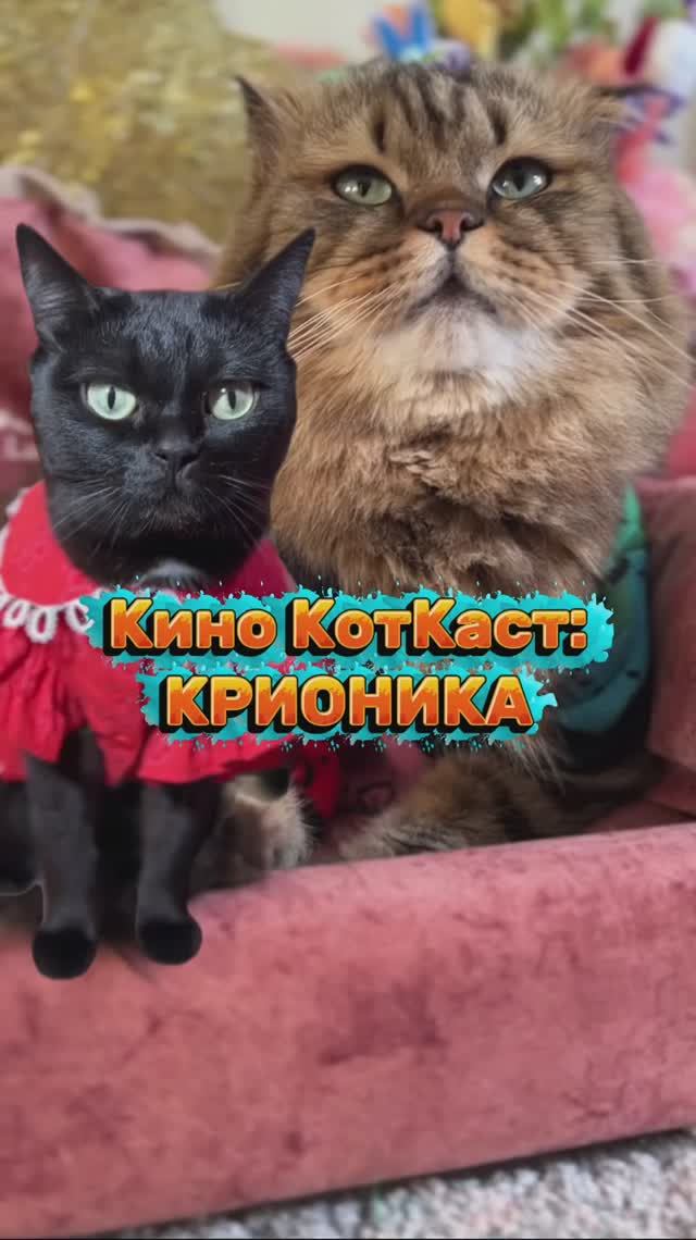 Кино КотКаст: Крионика. Дневники бессмертия🧪 #сериал #обзор #КиноКотКаст #котики