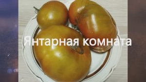 Томаты  для Детского и Диетического питания