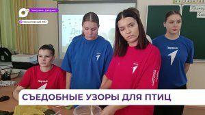 Необычные кормушки для птиц готовят школьники Сибирцево