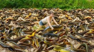 Поймала много вьюнов в грязи на высохшем поле. Отправляюсь на сельский рынок, чтобы продать.