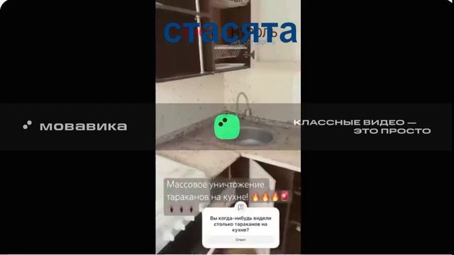 Много тараканов 2 на кухне полчища табун стасики стасята текст музыка смотреть онлайн