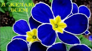 Молитва за мир во всем мире! Live 19.11.2025