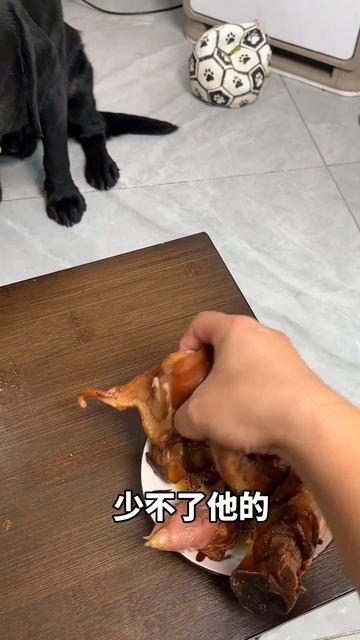 В чем я уступаю ему? #собака @70323499528