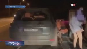 В Подмосковье лось влетел в салон ехавшей по трассе машины