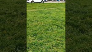 Краснодарские контрасты осени. Лето, осень и подготовка к Новому Году.