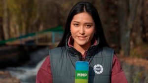 Снегопады накроют весь Казахстан. Аномальное тепло держится в Армении. Погода в СНГ