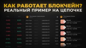 Как Работает Блокчейн: Показываю на Реальной Цепочке Блоков в Криптовалюте