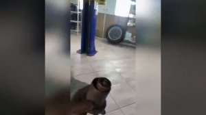 Видео от HackAvto – Лайфхаки и фишки для авто