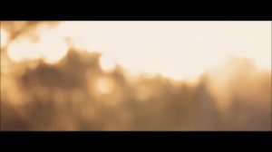 Ceronne - Supernature 2017