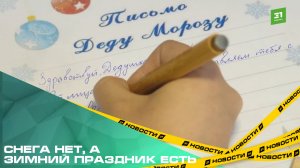 Снега нет, а зимний праздник есть. Как челябинцы поздравили Деда Мороза с Днем рождения?