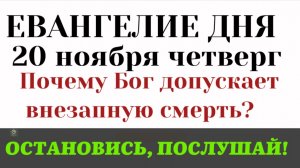 Евангелие дня Почему Бог допускает внезапную смерть  (Лк 13 1-9)