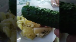 Мой обед и болталка