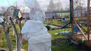 Последние работы в саду