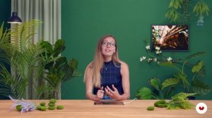 01 Why Photo Studies