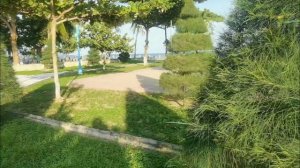 Нячанг 2025. Прогулки по городу в ноябре,  дикая кухня, север и море