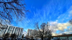 УТРЕННЕЕ МОСКОВСКОЕ НЕБО ИЗ АВТОБУСА