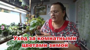 Содержание комнатных растений в зимний период