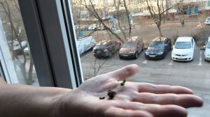 Всем доброе утро.
Счастья, радости полные карманы.🌹🌹🌹