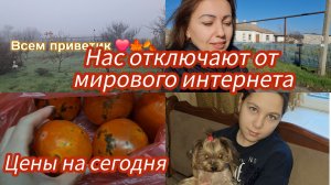 Семья из Мариуполя. С весны новый закон. Цены всё выше.#новости #мариуполь