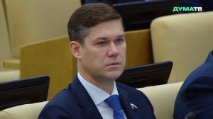 Володин: ГД исправила несправедливость, установив меры поддержки при многоплодной беременности